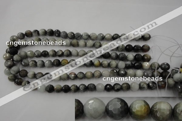 CEE353 15.5 inches 10mm faceted round eagle eye jasper beads