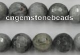 CEE355 15.5 inches 14mm faceted round eagle eye jasper beads