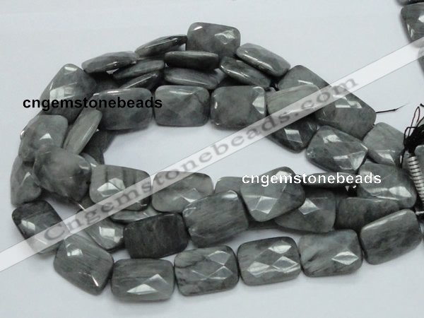 CEE36 15.5 inches 22*30mm faceted rectangle eagle eye jasper beads