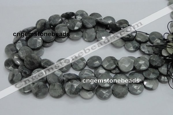 CEE38 15.5 inches 20mm faceted coin eagle eye jasper beads wholesale