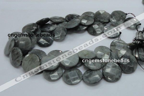 CEE39 15.5 inches 25mm faceted coin eagle eye jasper beads wholesale