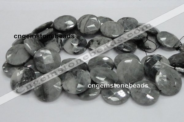CEE40 15.5 inches 30mm faceted coin eagle eye jasper beads wholesale
