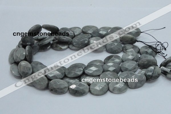 CEE43 15.5 inches 18*25mm faceted oval eagle eye jasper beads