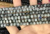 CEE510 15.5 inches 6mm round eagle eye jasper beads