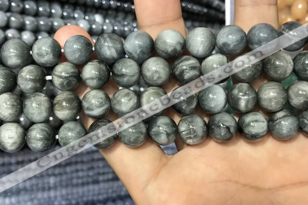 CEE517 15.5 inches 10mm round eagle eye jasper beads wholesale