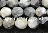 CEE530 15.5 inches 6mm faceted nuggets eagle eye jasper beads