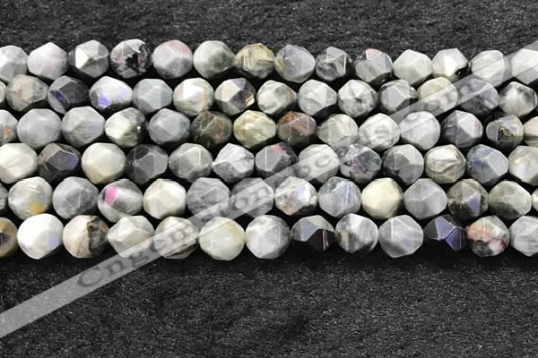 CEE532 15.5 inches 10mm faceted nuggets eagle eye jasper beads