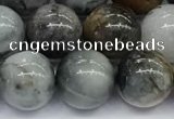 CEE537 15.5 inches 10mm round eagle eye jasper beads wholesale