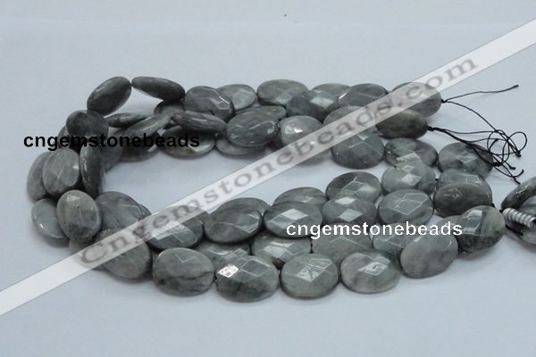 CEE54 15.5 inches 15*20mm faceted oval eagle eye jasper beads
