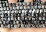 CEE541 15.5 inches 6mm round eagle eye jasper gemstone beads