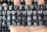 CEE544 15.5 inches 12mm round eagle eye jasper gemstone beads