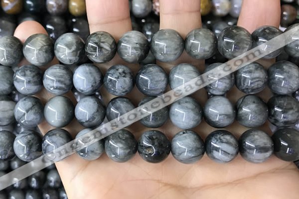 CEE544 15.5 inches 12mm round eagle eye jasper gemstone beads