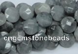 CEE57 15.5 inches 10mm faceted coin eagle eye jasper beads