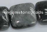 CEE62 15.5 inches 30*30mm square eagle eye jasper beads wholesale