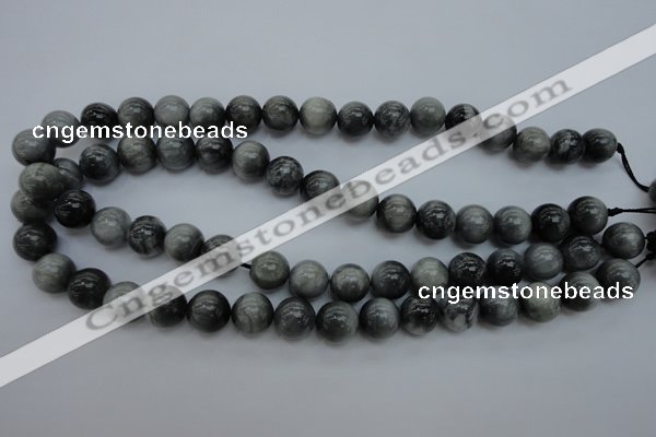 CEE65 15.5 inches 12mm round eagle eye jasper beads wholesale