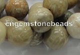 CFA04 15.5 inches 16mm round chrysanthemum agate gemstone beads