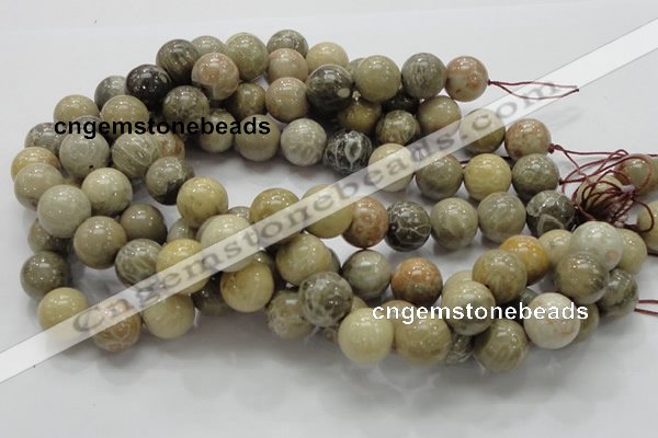 CFA04 15.5 inches 16mm round chrysanthemum agate gemstone beads