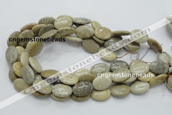 CFA11 15.5 inches 18*25mm oval chrysanthemum agate gemstone beads