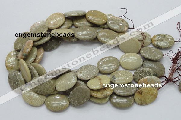 CFA12 15.5 inches 22*30mm oval chrysanthemum agate gemstone beads