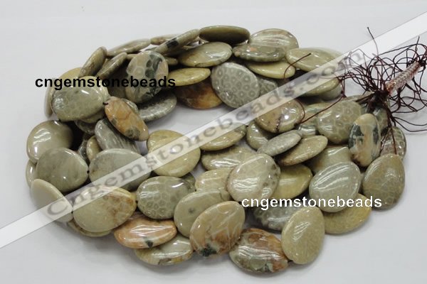 CFA16 15.5 inches 22*30mm flat teardrop chrysanthemum agate beads