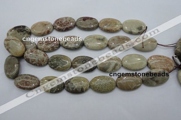 CFA216 15.5 inches 20*30mm oval chrysanthemum agate beads