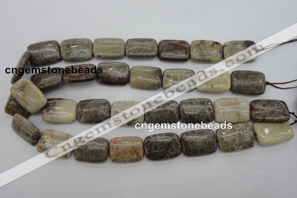 CFA224 15.5 inches 18*25mm rectangle chrysanthemum agate beads