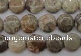 CFA228 15.5 inches 12mm flat round chrysanthemum agate beads