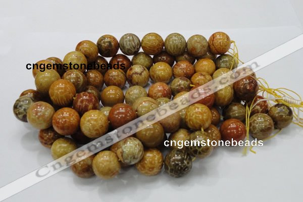 CFA34 15.5 inches 20mm round yellow chrysanthemum agate beads