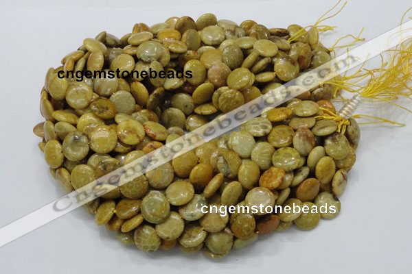 CFA42 15.5 inches 15mm flat round yellow chrysanthemum agate beads