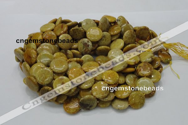 CFA43 15.5 inches 20mm flat round yellow chrysanthemum agate beads