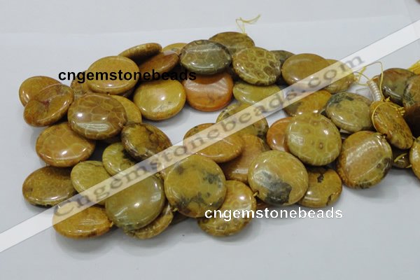 CFA45 15.5 inches 30mm flat round yellow chrysanthemum agate beads