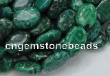 CFA70 15.5 inches 10*14mm oval green chrysanthemum agate beads