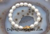 CFB924 9mm - 10mm rice white freshwater pearl & yellow crazy lace agate stretchy bracelet