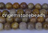 CFC200 15.5 inches 4mm round fossil coral beads wholesale