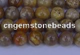 CFC201 15.5 inches 6mm round fossil coral beads wholesale