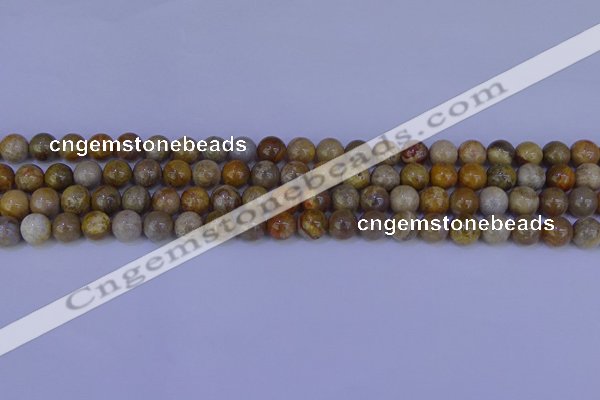 CFC201 15.5 inches 6mm round fossil coral beads wholesale