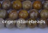 CFC202 15.5 inches 8mm round fossil coral beads wholesale