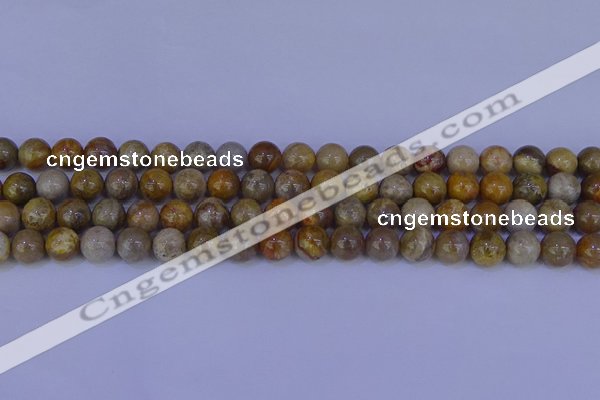 CFC202 15.5 inches 8mm round fossil coral beads wholesale