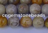 CFC203 15.5 inches 10mm round fossil coral beads wholesale