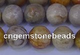 CFC204 15.5 inches 12mm round fossil coral beads wholesale