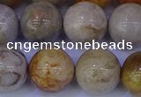 CFC205 15.5 inches 14mm round fossil coral beads wholesale