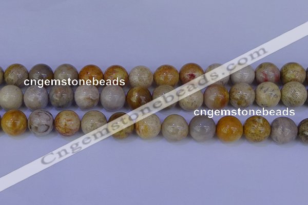 CFC205 15.5 inches 14mm round fossil coral beads wholesale