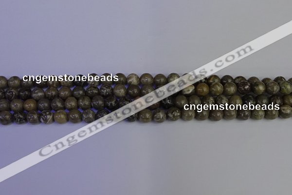 CFC211 15.5 inches 6mm round grey fossil coral beads wholesale