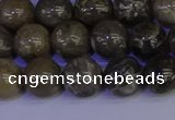 CFC213 15.5 inches 10mm round grey fossil coral beads wholesale