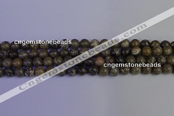 CFC213 15.5 inches 10mm round grey fossil coral beads wholesale