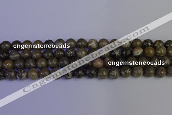 CFC214 15.5 inches 12mm round grey fossil coral beads wholesale