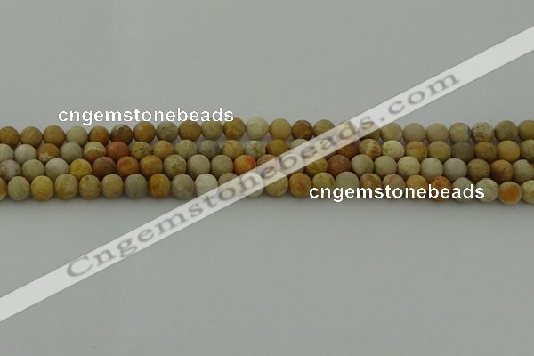 CFC221 15.5 inches 6mm round matte fossil coral beads wholesale