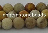 CFC222 15.5 inches 8mm round matte fossil coral beads wholesale