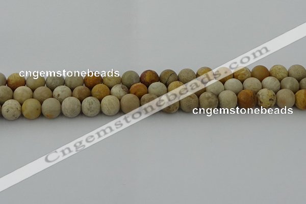 CFC222 15.5 inches 8mm round matte fossil coral beads wholesale