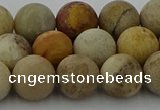 CFC223 15.5 inches 10mm round matte fossil coral beads wholesale